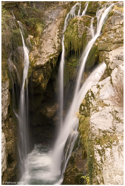 Image Hosted by ImageShack.us